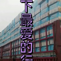 好养元苦荞酥，苦荞片苦荞粑粑河南康记食品