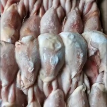 鹌鹑，特点食材，一件100只，一件30斤左右，