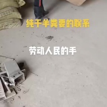 50斤袋装发酵晒干纯羊粪养殖场直销本交易支持自提