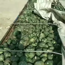 铁球南瓜，银，红，绿三色