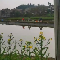 生态果园转让，六年丰产果园转让，钓鱼场农家乐