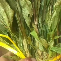 需要见血清老板本人大量有货