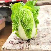 黄心白菜，欲购从速