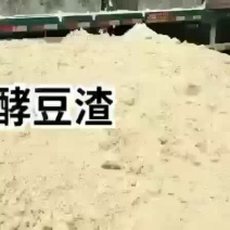 【热销】湿豆渣发酵饲料，用于羊牛饲料营高长期有货