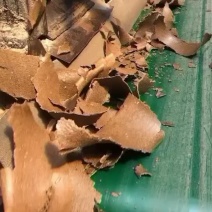 主营有机肥饼肥饼饼柏肥质量产量价格稳定