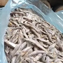 工厂直销店破肚多春鱼