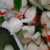 耙耙柑小果