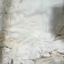 羊皮大量生产加工没油没毛根保证质量需要的老板抓紧时间下单