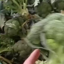 精品鲜货，3只根上车西兰花