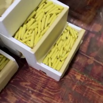 玉米笋大量上市