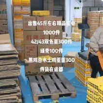 四川省内鸡蛋批发普通粉蛋鲜鸡蛋红心蛋便宜鸡蛋的饲料蛋