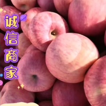 正宗烟台栖霞苹果，产地直发，诚信合作，需要的朋友联系我