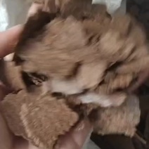 菜籽饼质量保证养殖肥料都可以用欢迎选购