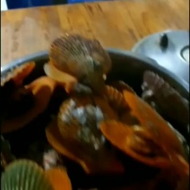 扇贝