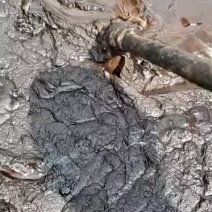 大量出售大豆植物油泥胡麻油油泥适合饲料肥料添加