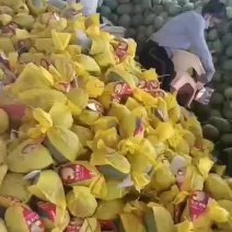 （基地直供）（热销）（推荐）小蜜25号预售，欢迎前来采购