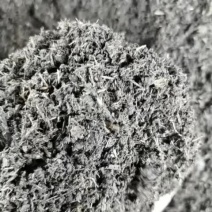 水稻秧秧机质
