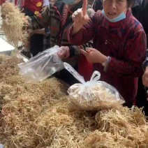 生晒罗卜丝罗卜干跑市场产品送广告布销售录音