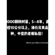 秋树