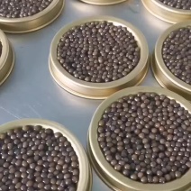 鲟鱼鱼子酱新包装上市厂家直发保证质量欢迎电话联系