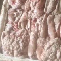 新鲜鲤鱼籽