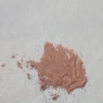 油茶粕专杀地下虫，虫卵，后期缓解土壤肥效好。