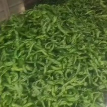 广西各种新鲜辣椒基地代办线椒，小皱皮，线椒