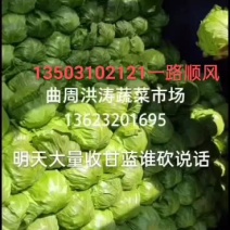精品甘蓝