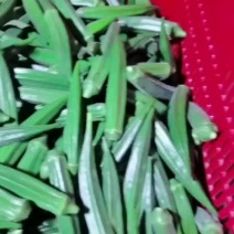 有收够，请联系我
