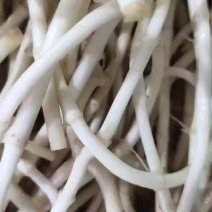 鱼腥草泡沫箱装2块6一斤，自产自销