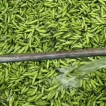 精品小胡豆