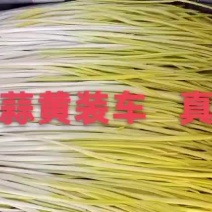 精品蒜黄