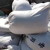 蚕豆壳