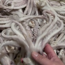 鱿鱼头，厂家直销