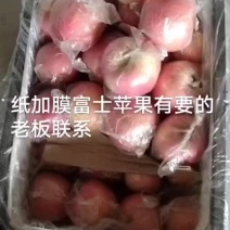 本地富士苹果，红富士苹果，河北深州红富士苹果大量有货