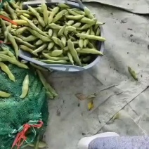 都是精品，产品美丽，价格也美丽