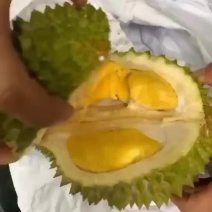 （产地做果）马来西亚🇲🇾猫山王榴莲果形好，品质三包