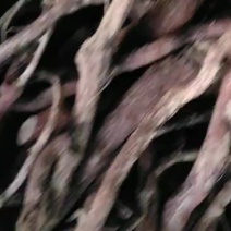 血风根