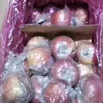 红富士苹果