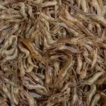 淡水新鲜当天捕捞鲜活