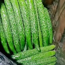各种蔬菜大量上货