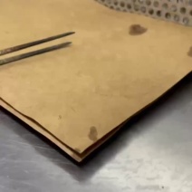 大青，陆河青，大白，中白木瓜组培苗，正宗江门苗，红肉
