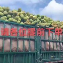 海南椰子实力厂家长期供应可以视频看货，欢迎电商，社区的朋