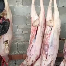 带皮大羊酮体11一斤去头去内脏可发样品