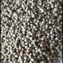 出售各种等级白苏子，出口级别一般净货。实惠货。