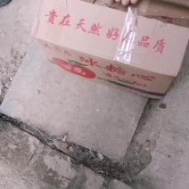 膜袋红富士