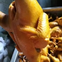 鹅边跑边山鸡。包教技术。味道独特。长期产品。先干吃肉。
