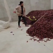板椒