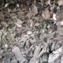烧烤炭果木炭厂家直销