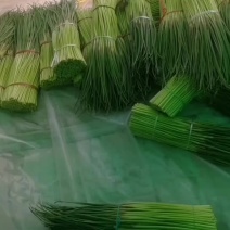 蒜薹